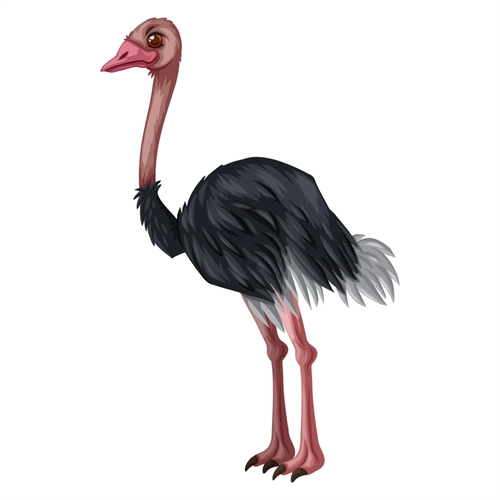 Jungle Safari Giant Ostrich Transparent Sticker